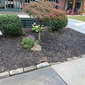 Flower Bed Weeding by Joe Molinaro reviewed on April 15, 2022