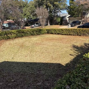 Leaf Removal by Slaughter's Landscaping reviewed on March 21, 2025