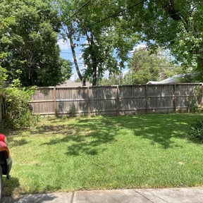 Cleanups by Lawn Care Rx reviewed on June 16, 2022
