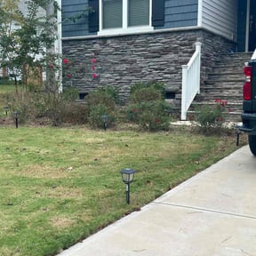 Bush Trimming by Limitless lawn care llc reviewed on May 8, 2025