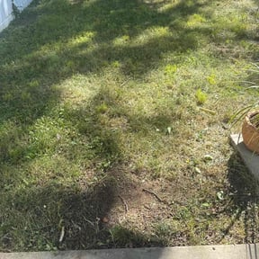 Leaf Removal by Landscaping care reviewed on June 28, 2025