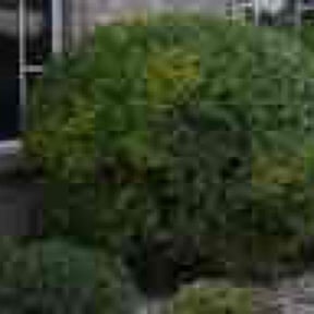 Bush Trimming by Dallas Enterprise LLC Lawn Care Services reviewed on February 17, 2022