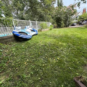 Cleanups by MJC3 Solutions LLC reviewed on August 3, 2024