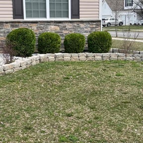 Bush Trimming by Ike’s Lawn & Yard Services reviewed on July 12, 2025