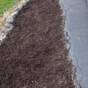 Flower Bed Weeding by Williams Lawn Care reviewed on June 9, 2022