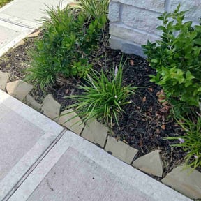 Flower Bed Weeding by EP Remodeling LLC reviewed on March 21, 2025