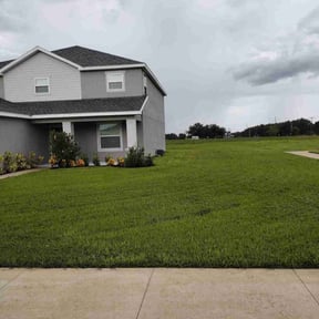 Weed Pulling by Florida’s Finest lawn care reviewed on July 15, 2022