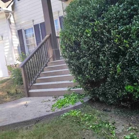 Bush Trimming by Thorn City Maintenance reviewed on November 23, 2021