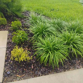 Flower Bed Weeding by Mow & Go reviewed on June 4, 2022