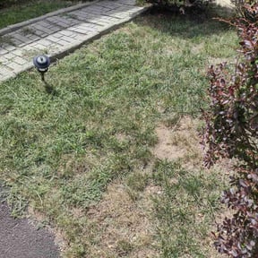 Cleanups by LPZ Landscaping reviewed on July 22, 2022
