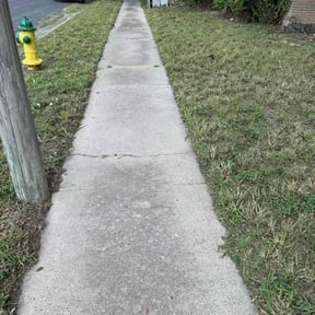 Weeding by West Texas Lawns and More reviewed on May 9, 2022