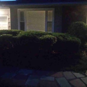Bush Trimming by Caesar’s Premier Landscaping reviewed on August 5, 2021