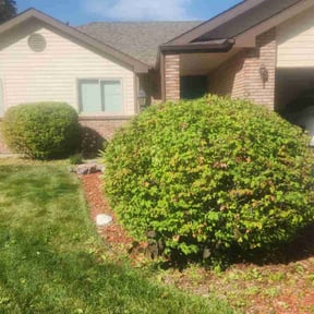 Bush Trimming by Hundred Acre Lawn Care reviewed on October 6, 2021