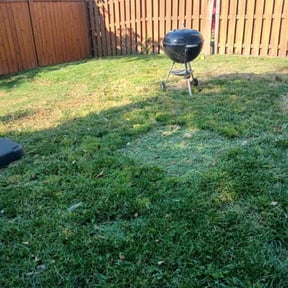 Cleanups by Fairwood Landscape reviewed on July 13, 2022