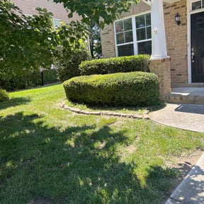 Bush Trimming by MTB lawn care reviewed on June 30, 2022