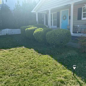 Bush Trimming by Jeri Cleaning Services reviewed on April 30, 2025