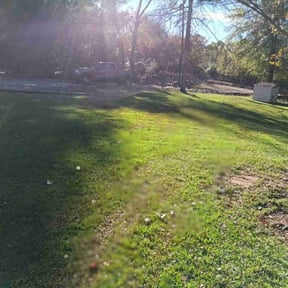 Leaf Removal by Curry&#039;s mowing reviewed on June 15, 2022