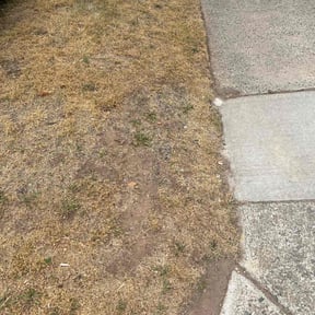 Cleanups by JA All purpose property management reviewed on June 17, 2022