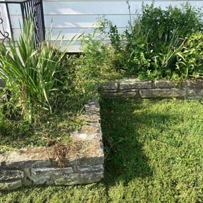 Flower Bed Weeding by LSLTAustin/SanAntonioEmerald reviewed on August 24, 2023