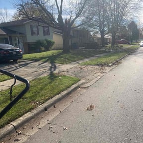 Leaf Removal by Greenblade Mowing reviewed on November 6, 2024