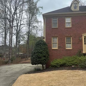 Bush Trimming by Clarks lawn care reviewed on August 20, 2021