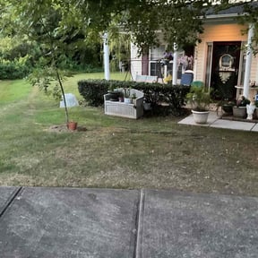 Bush Trimming by Pete’s Elite Lawn Care LLC reviewed on November 18, 2022