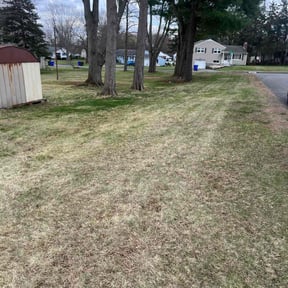 Leaf Removal by Lawn and Labor Services reviewed on July 21, 2022