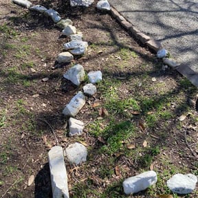 Leaf Removal by Go Green Garza Solutions reviewed on October 29, 2024