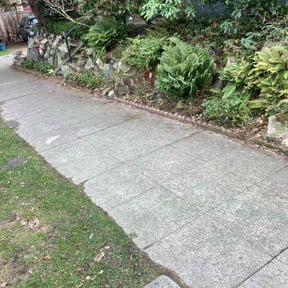 Cleanups by Vertical Lawn Care reviewed on August 9, 2024