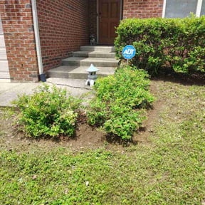 Weeding by Amie's Clean Cut Lawns and More reviewed on July 12, 2022