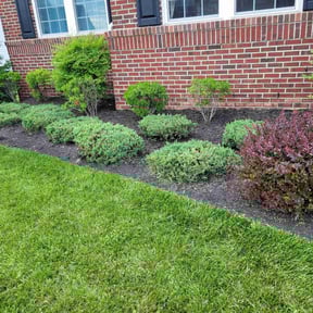 Flower Bed Weeding by After Care Express SVC Landscaping & Maintenance reviewed on November 23, 2022