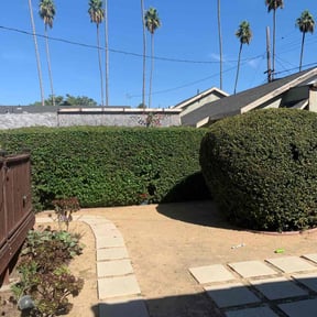 Bush Trimming by Cobb Lawn Care reviewed on July 7, 2022