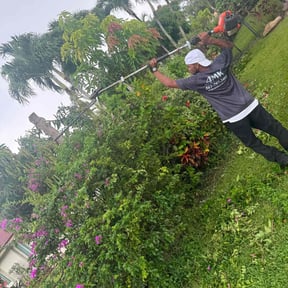Bush Trimming by Furia Global LLC reviewed on August 14, 2024