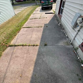 Leaf Removal by All Lawns reviewed on October 14, 2022