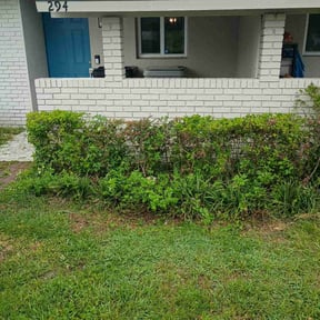 Bush Trimming by Willie Lawn Care and More LLC reviewed on November 4, 2022