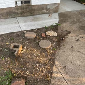 Cleanups by A1 landscaping reviewed on June 15, 2022