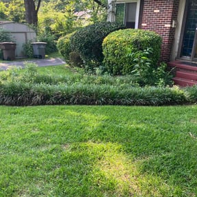 Bush Trimming by T.L. Landscaping & hardscaping reviewed on May 27, 2022