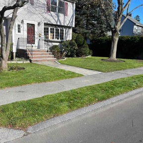 Leaf Removal by Harold Guzman's Landscaping reviewed on December 2, 2021