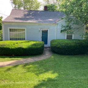 Bush Trimming by JBI Property Service LLC reviewed on October 24, 2024