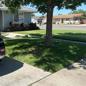 Cleanups by Christian Brothers Maintenance reviewed on July 9, 2025