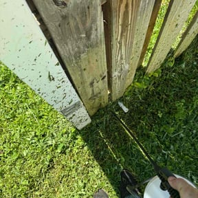 Weeding by Southern Lawn reviewed on July 3, 2022