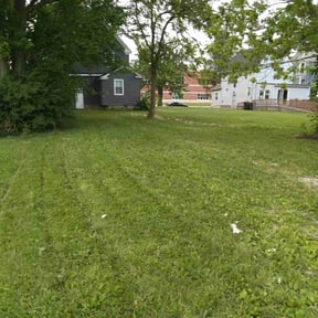 Bush Trimming by Smack Down lawns and tractor services reviewed on June 2, 2022