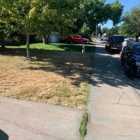 Bush Trimming by JC Landscaping reviewed on November 22, 2022