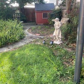 Bush Trimming by Los Koras Lawn Care reviewed on June 26, 2025