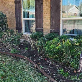 Bush Trimming by A&M General Services reviewed on September 26, 2021