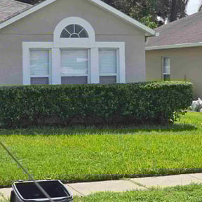 Bush Trimming by Gabriel's lawn care reviewed on November 26, 2022