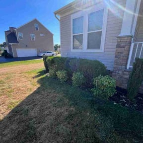 Bush Trimming by Greenview Lawn Solutions llc reviewed on July 14, 2022
