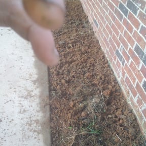 Weed Pulling by Swamp creek reviewed on April 15, 2025