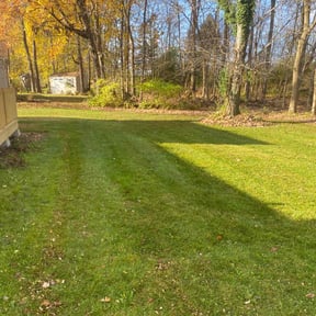 Leaf Removal by Ronnie Thacker reviewed on February 24, 2022