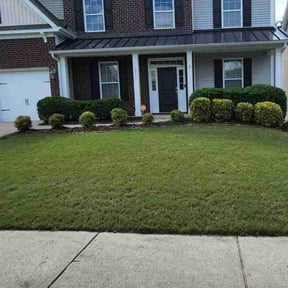 Bush Trimming by Send-A-Fella LawnCare reviewed on July 30, 2022